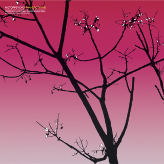 Motorpsycho Phanerothyme (LP)