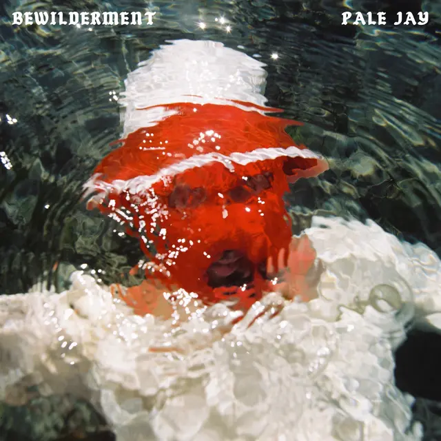 Pale Jay Bewilderment (CD) 