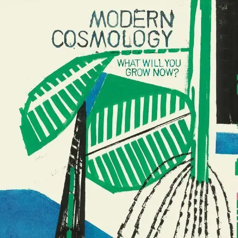 Modern Cosmology What Will You Grow Now? (LP) 