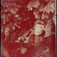 Luna Honey &amp; Norman Westberg Aftermath (LP)