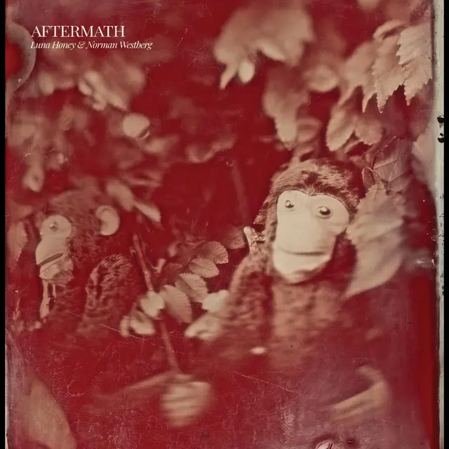 Luna Honey & Norman Westberg Aftermath (LP) 