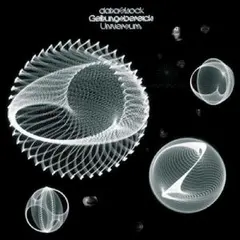Datashock Geltungsbereich Universum (LP)