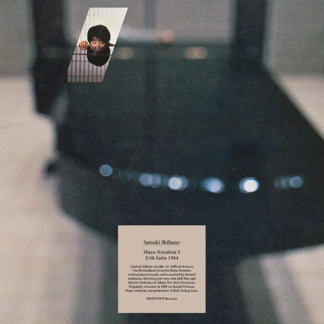 Satsuki Shibano Wave Notation 3: Erik Satie 1984 (2LP) 