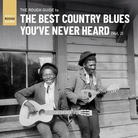 Diverse Artister Rough Guide To The Best Country…2 (LP) 