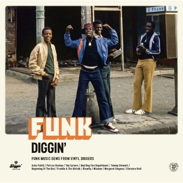 Diverse Artister Funk Diggin' (LP) 