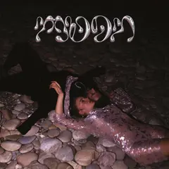Fleeb Moon (LP)
