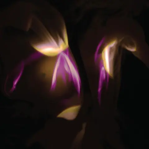 Shedir Before The Last Light Is… - LTD (LP) 