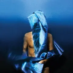 Devendra Banhart Flying Wig - LTD (LP)