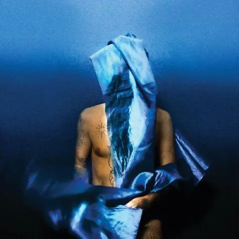 Devendra Banhart Flying Wig - LTD (LP) 