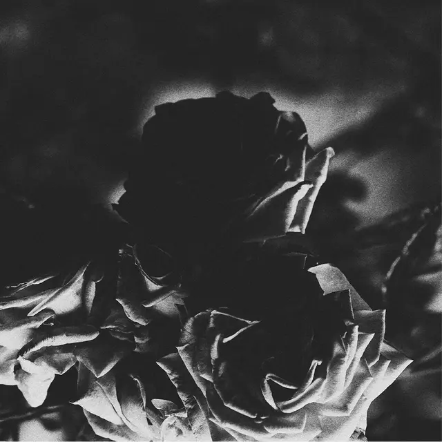 Hexis & Telos Split (5 Inch Vinyl) (7") 