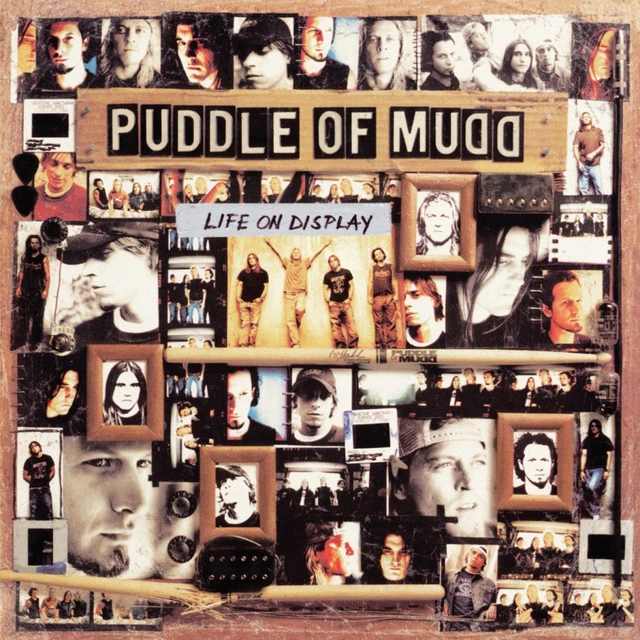 Puddle Of Mudd Life On Display (2LP) 