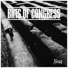 Bats Of Congress Storm (LP)
