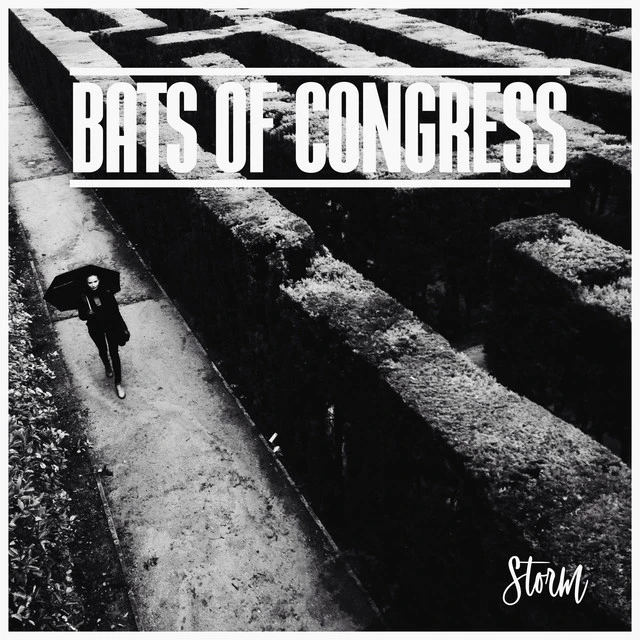 Bats Of Congress Storm (LP) 