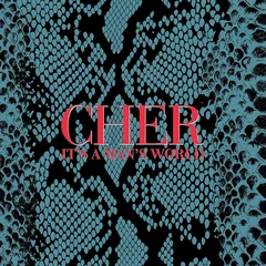 Cher It's A Man's World: Deluxe Edition (4LP)