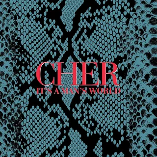 Cher It's A Man's World: Deluxe Edition (2CD)