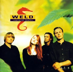 Weld Natural Tools - LTD FARGET (2LP)