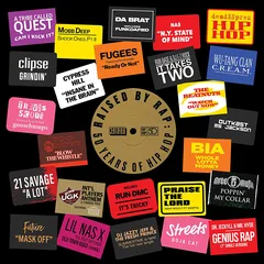 Diverse Artister Raised By Rap: 50 Years Of Hip Hop (2LP)