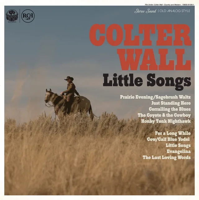 Colter Wall Little Songs (LP) 