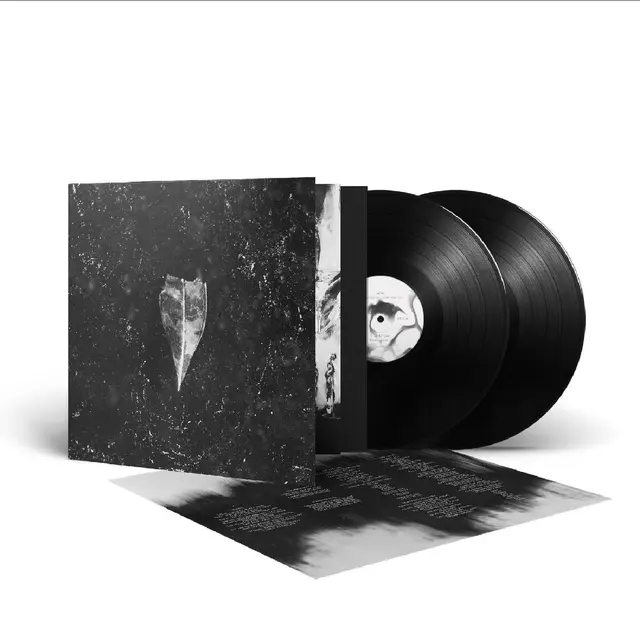 Bees Made Honey In The Vein Tree Aion (LP) 