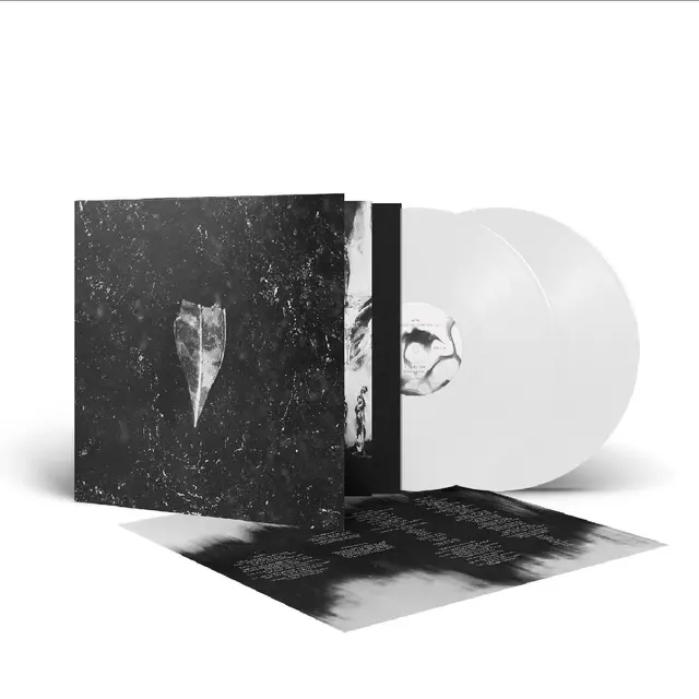 Bees Made Honey In The Vein Tree Aion - LTD (LP) 