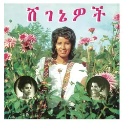 Aselefech Ashine &amp; Getenesh Kebret Beauties (LP)