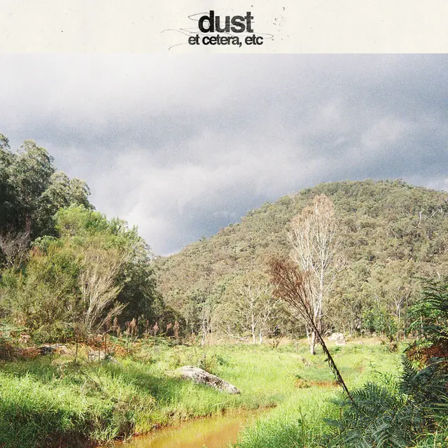 Dust Et Cetera, Etc - LTD (LP) 