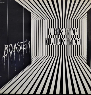 Boastein Urgata Hurgata - LTD FARGET (LP)