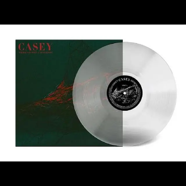 Casey Where I Go When I Am Sleeping - LTD (LP) 