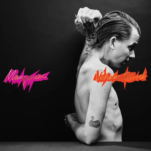 Nicholas Allbrook Manganese - LTD (2LP) 
