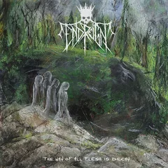 End Reign The Way Of All Flesh Is Decay - LTD (LP)