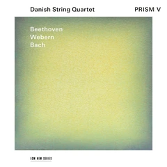 Danish String Quartet Prism V (CD)