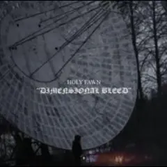 Holy Fawn Dimensional Bleed (LP)
