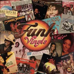 Diverse Artister Funk Vinyls (2LP)