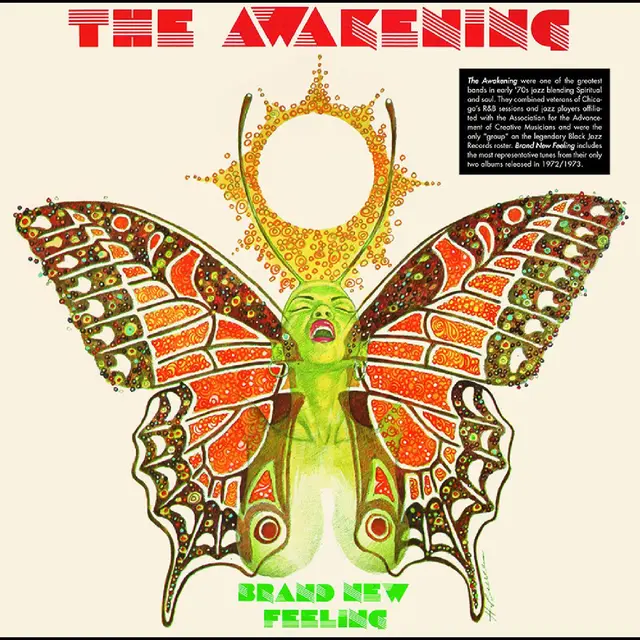 The Awakening Brand New Feeling (LP) 
