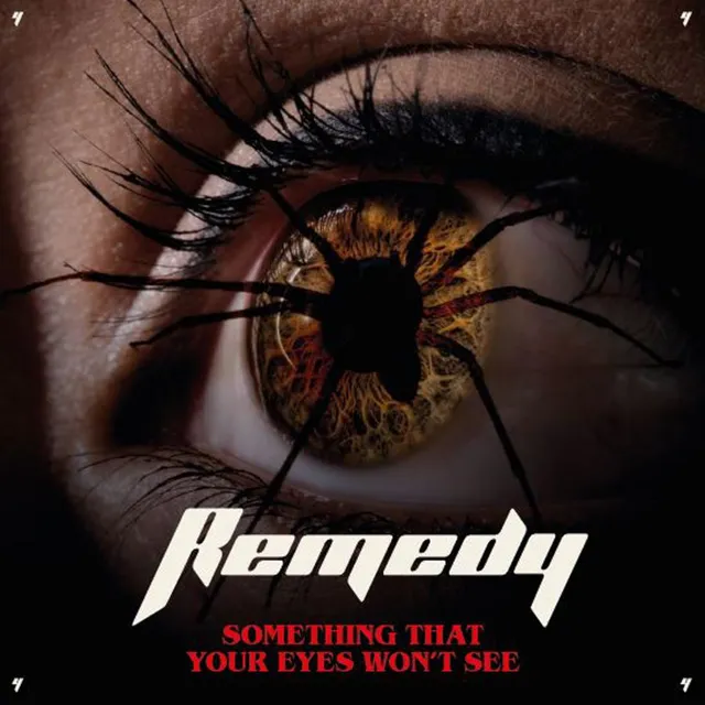Remedy Something That Your Eyes Won't See (LP) 