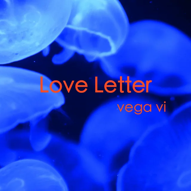 Vega Vi Love Letter (LP) 