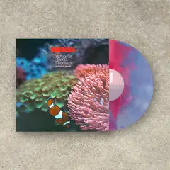 Pærish You're In Both Dreams (And You're…) (LP)