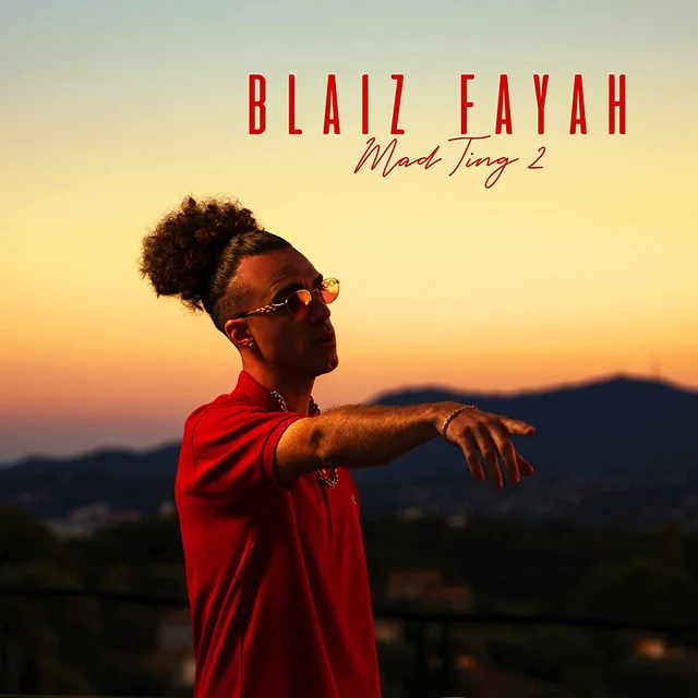 Blaiz Fayah Mad Ting 2 (LP) 
