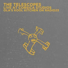 The Telescopes Live At Corsica Studios (LP)