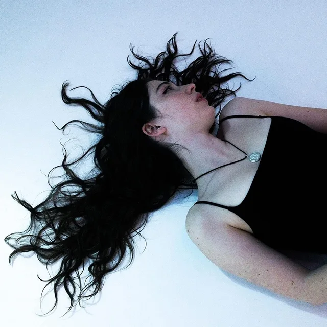 Alaska Reid Disenchanter (LP) 