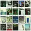 Al Di Meola All Your Life: A Tribute To The… (2LP)