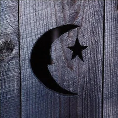 Phish Farmhouse (Northern Lights) (2LP)