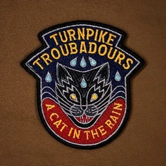 Turnpike Troubadours A Cat In The Rain - LTD (LP)