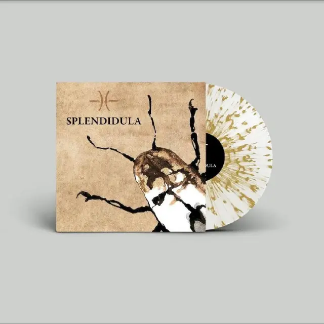 Splendidula Splendidula - LTD (LP) 