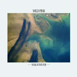 Wild Pink Yolk In The Fur - LTD (LP)