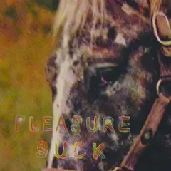 The Spirit Of The Beehive Pleasure Suck - LTD (LP)