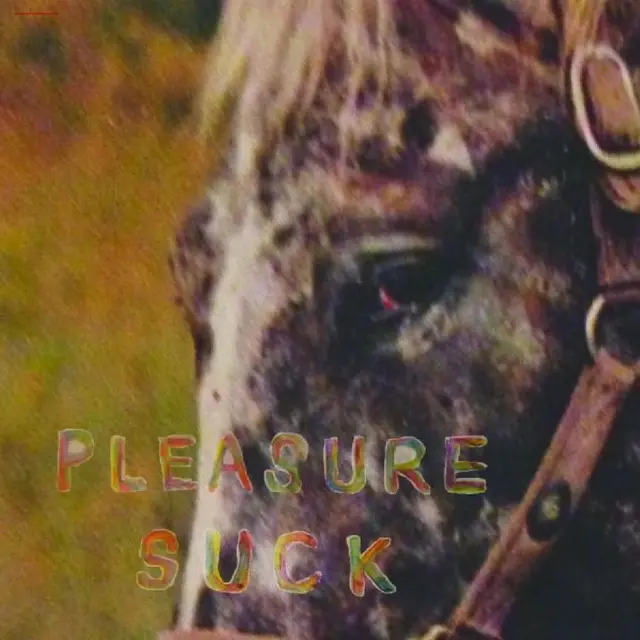 The Spirit Of The Beehive Pleasure Suck - LTD (LP) 