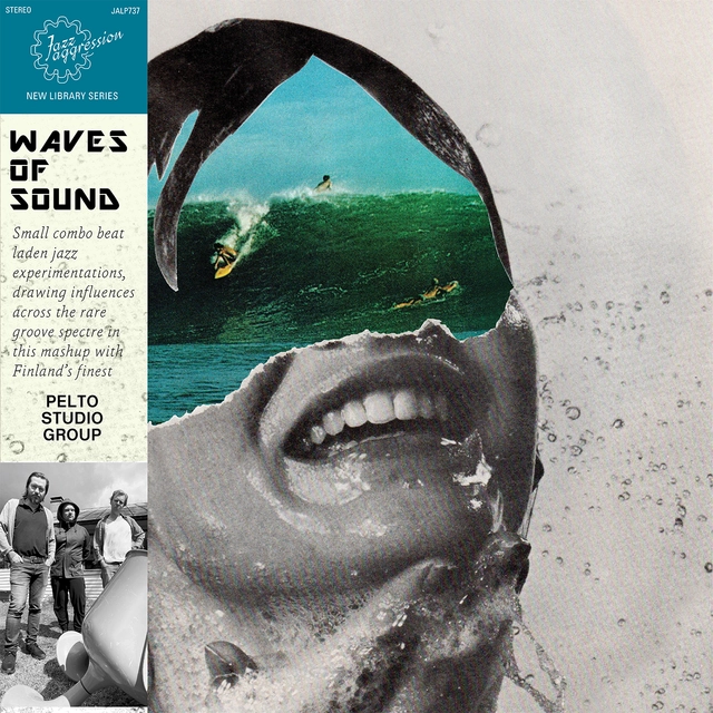Pelto Studio Group Waves Of Sound - LTD (LP) 