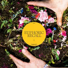 Braids Euphoric Recall (LP)