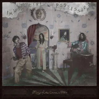 Immaterial Possession Mercy Of The Crane Folk (CD)